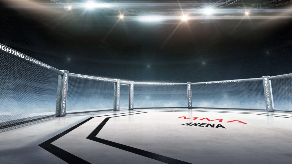 総合格闘技のイメージ画像