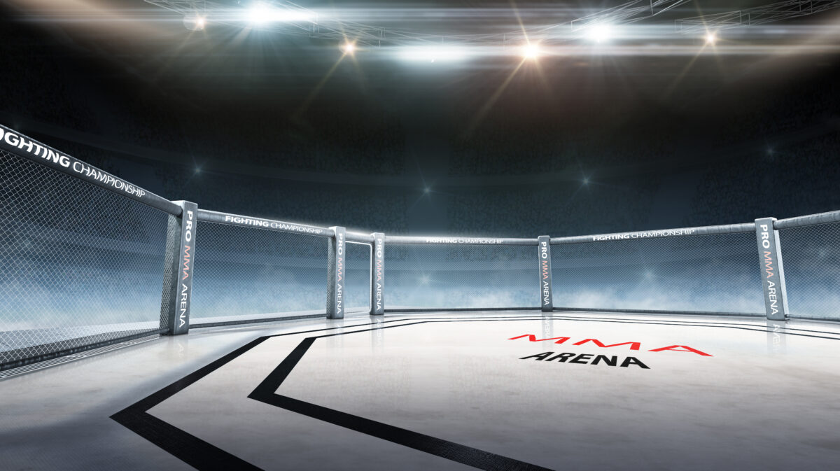 総合格闘技のイメージ画像